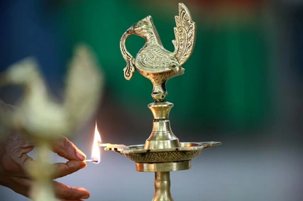 Professional Excellence